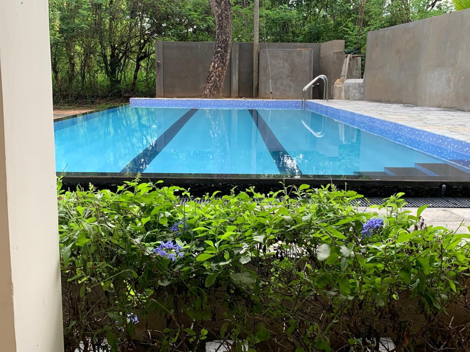 Sigiriya Rock Hide Hotel Kültér fotó