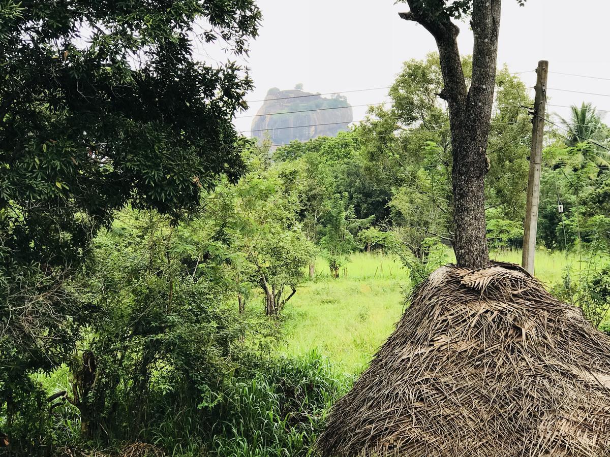 Sigiriya Rock Hide Hotel Kültér fotó