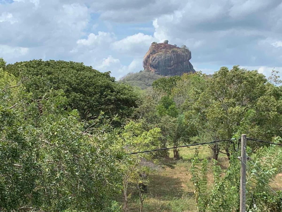 Sigiriya Rock Hide Hotel Kültér fotó