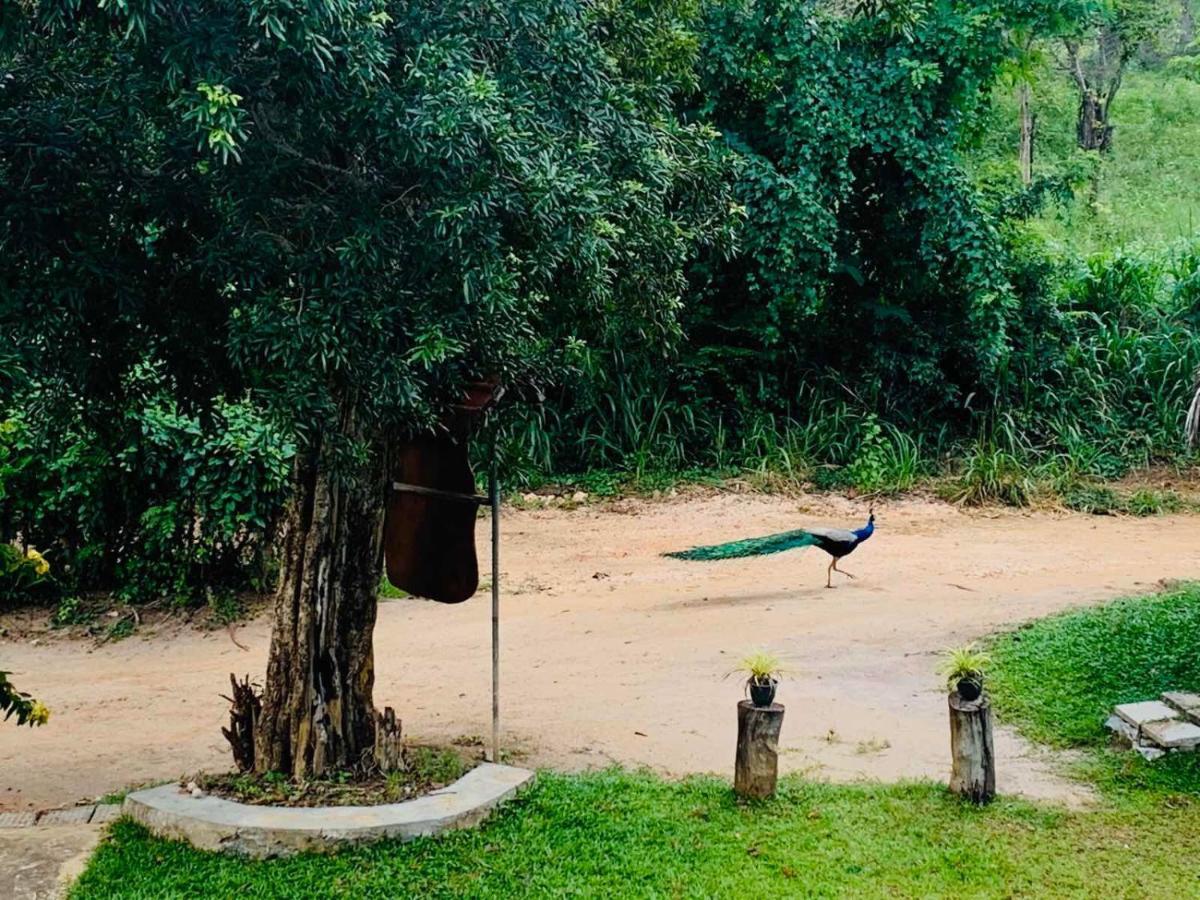 Sigiriya Rock Hide Hotel Kültér fotó