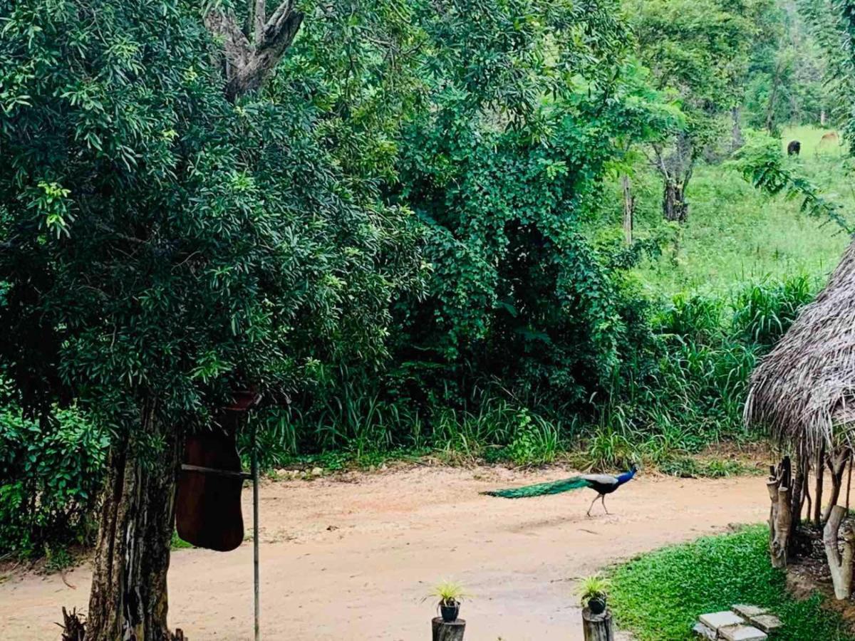 Sigiriya Rock Hide Hotel Kültér fotó